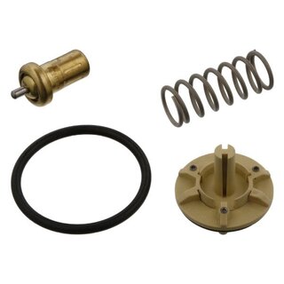 Termostat 83 - 98°C FABIA II., EU 30936844