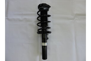 Tlumič přední kompletní OCTAVIA II., BILSTEIN 22-139191, 123495012DA
